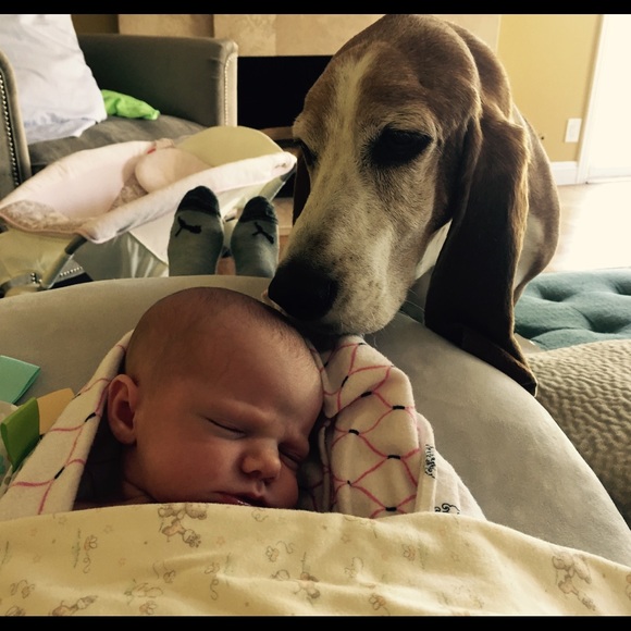 Meet your Posher, Amy - Picture 1 of 1